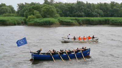 Auf einem Fluss rudern zwei Teams in breiten Kuttern um die Wette.