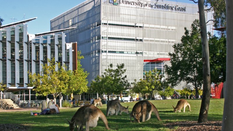Studieren in Australien: kulturelle Erfahrungen sowie Verbesserung der Sprachkenntnis sammeln und einen zweiten Studienabschluss erhalten.