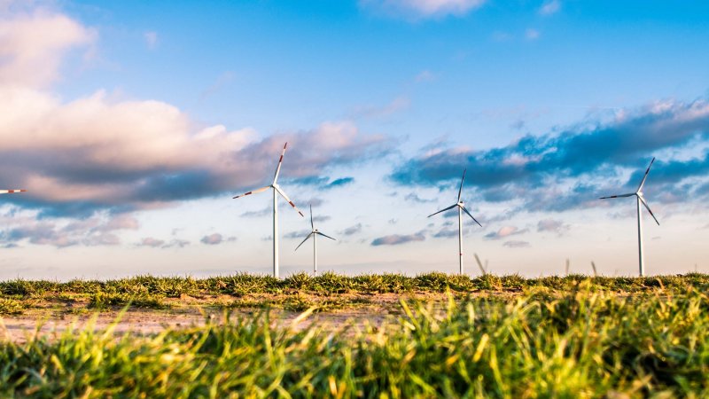 Windpark_unsplashed