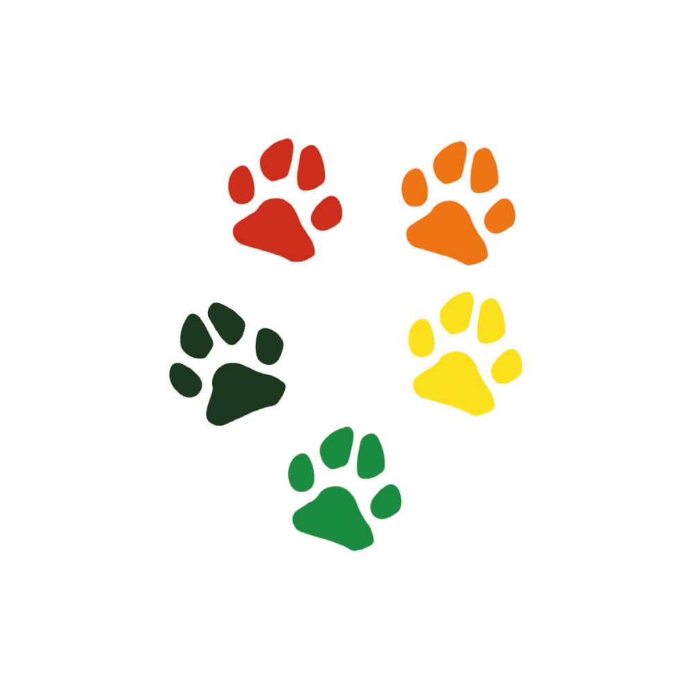 Tierheim Flensburg Re-Design