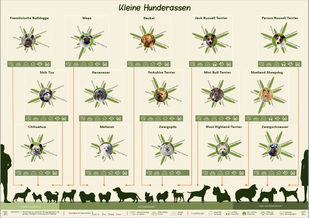 Hunderassen Plakat