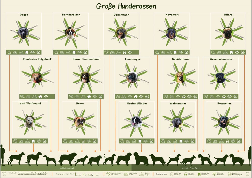 Hunderassen Plakat