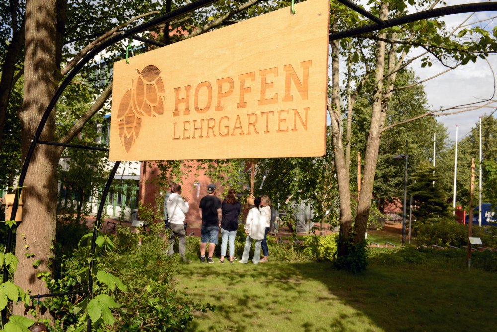 Attraktion für Flensburg: Flensburger*innen dürfen sich Ableger der Hopfensorten aus dem Lehrgarten mitnehmen. 