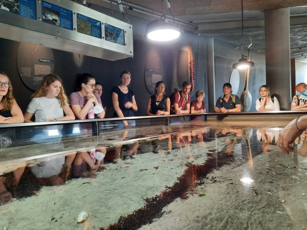 Zehn Studierende aus der Schweiz haben gemeinsam mit Studierenden der Hochschule Flensburg den langen Weg von mariner Habitat zum biotechnologischen Wirkstoff verfolgt. Auch im Multimar Wattforum in Tönning. 