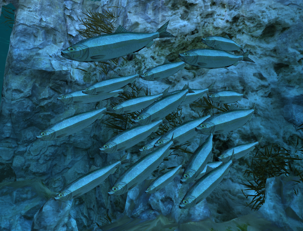 Virtueller Heringsschwarm