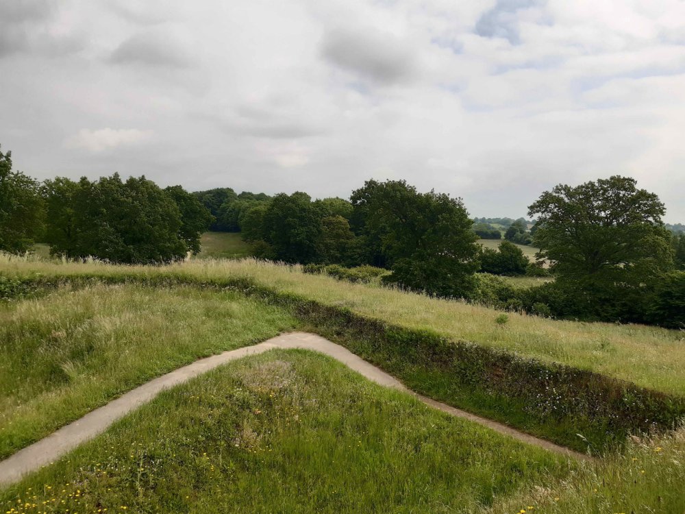 Landschaft: Sandweg umgeben von Wiese, im Hintergrund dichte Bäume. Der Himmel ist bewölkt.
