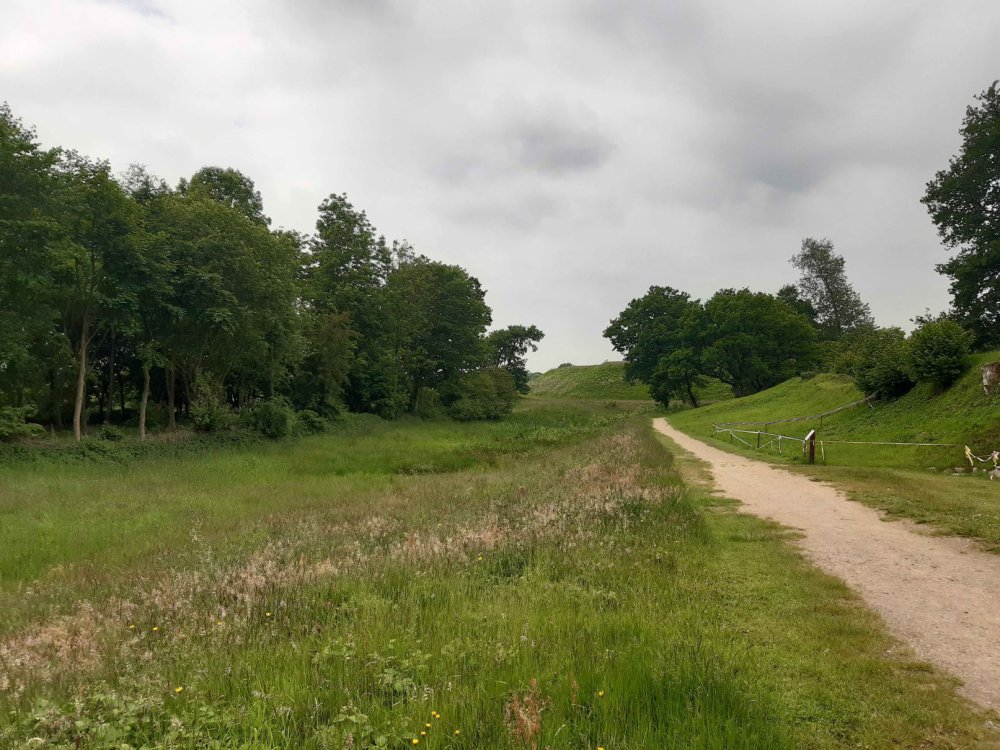 Landschaft: Sandweg umgeben von Wiese, im Hintergrund dichte Bäume. Der Himmel ist bewölkt.
