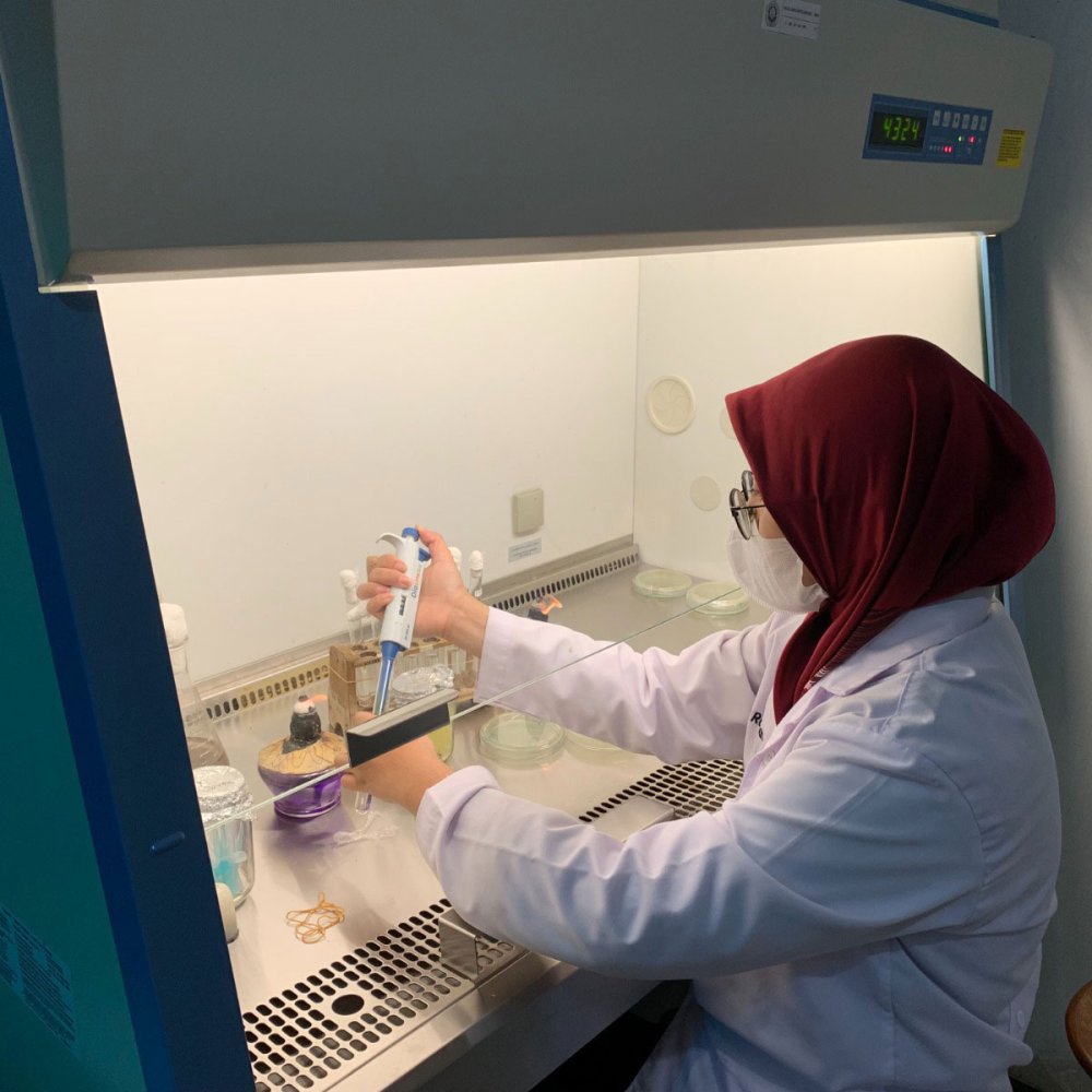 Studentin im Labor, sie trögt Laborkittel und Kopftuch und arbeitet mit Reagenzgläsern und Pipette.