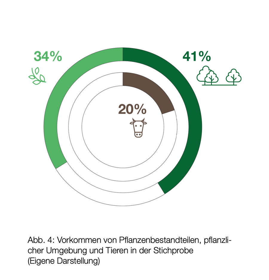 Johannes Rapp: Nachhaltigkeitsversprechen in der Werbung