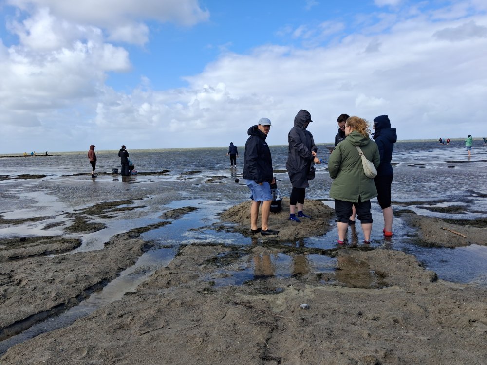 Proben von Mikroorganismen aus dem Meer gewonnen