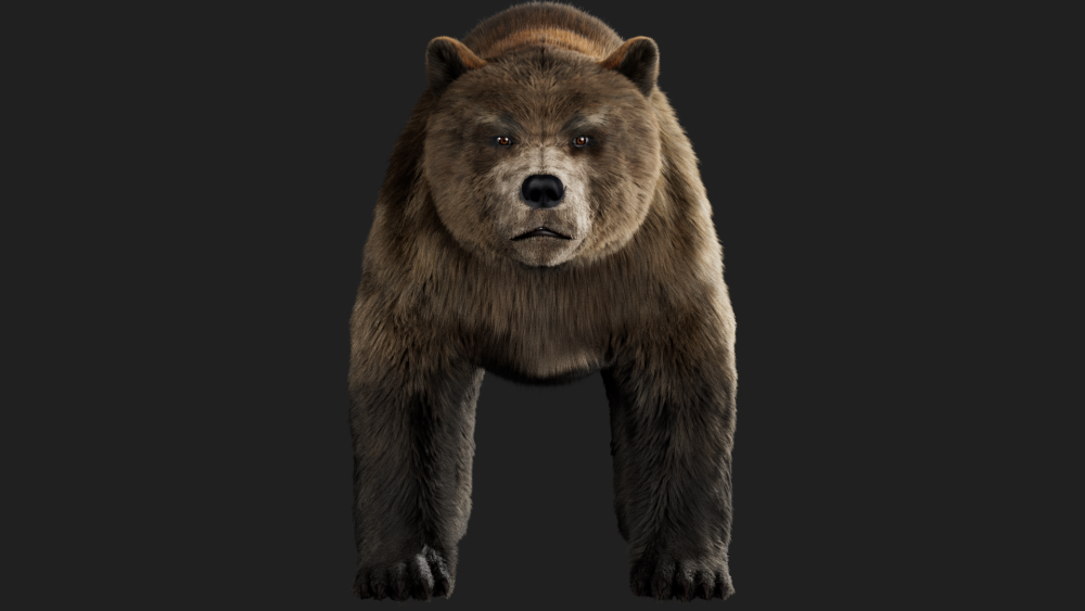 fur groom eisermann