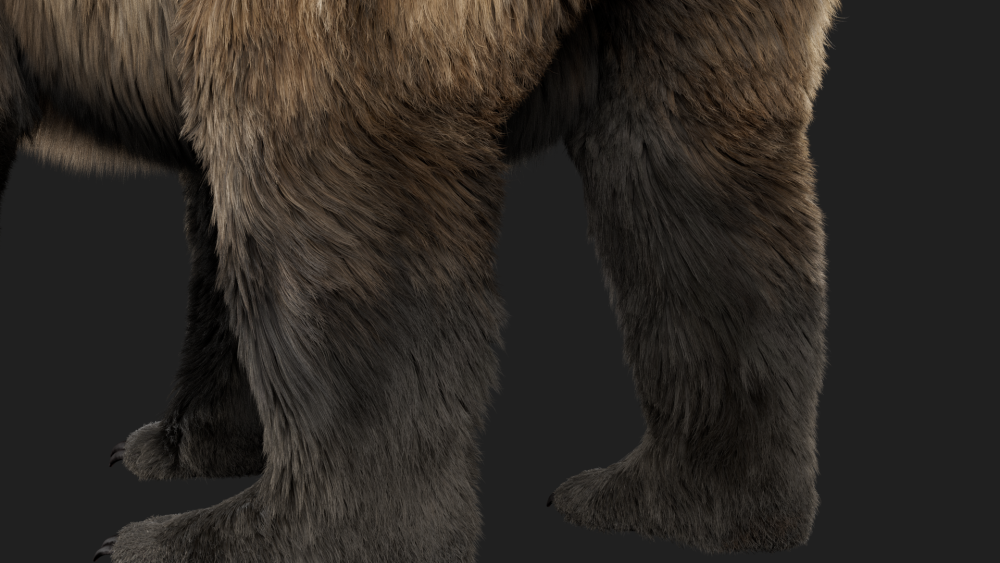fur groom eisermann