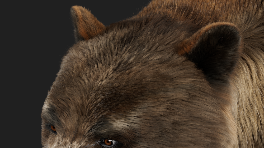 fur groom eisermann