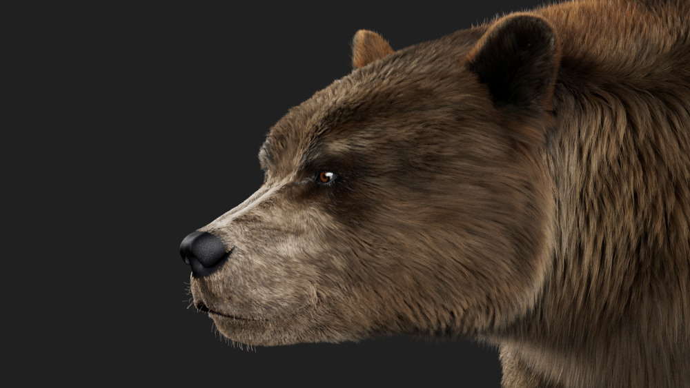 fur groom eisermann