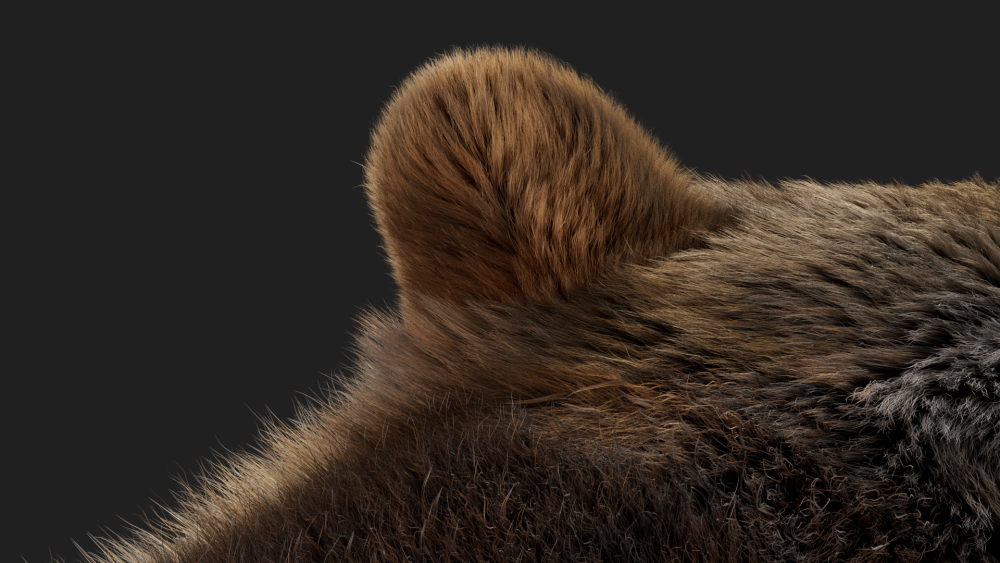 fur groom eisermann