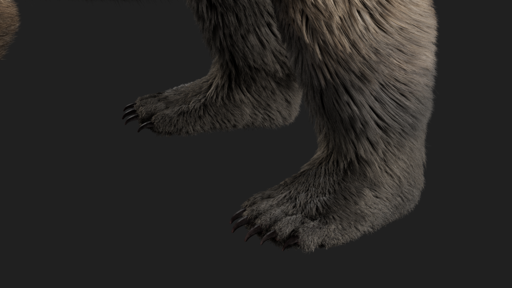 fur groom eisermann