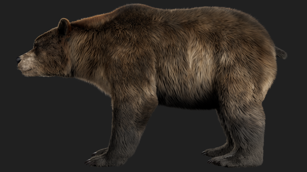 fur groom eisermann
