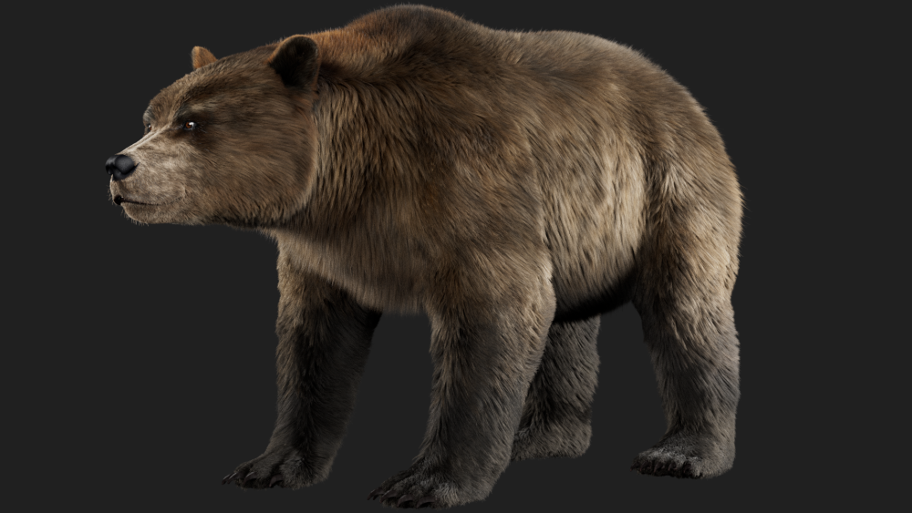 fur groom eisermann