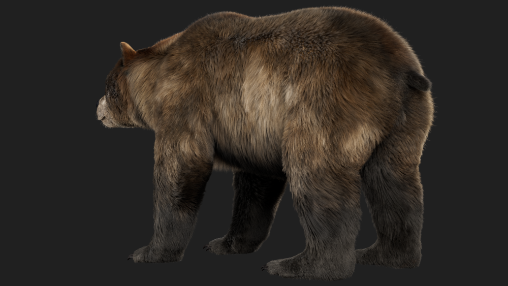 fur groom eisermann