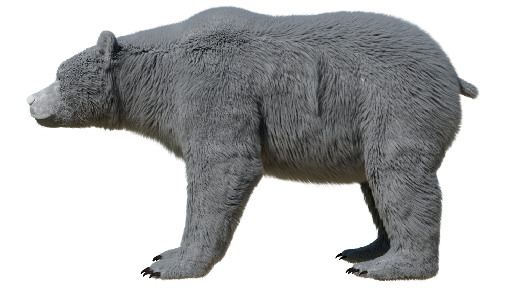 fur groom eisermann
