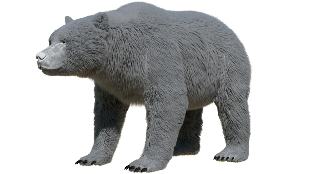 fur groom eisermann