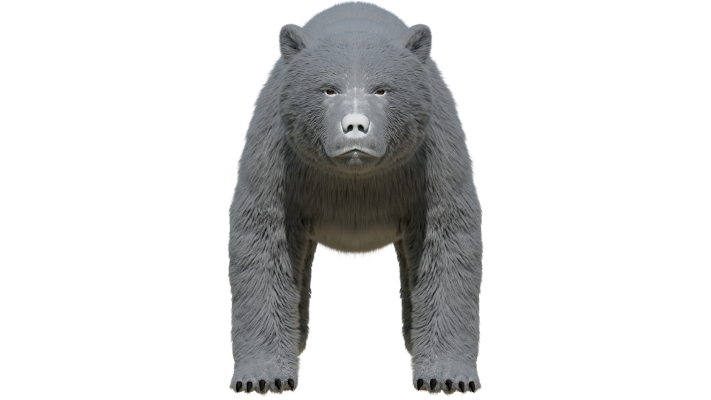 fur groom eisermann