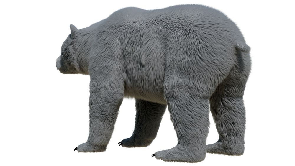 fur groom eisermann
