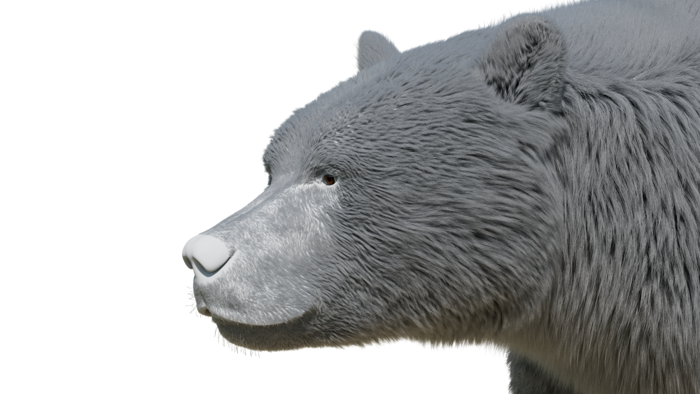 fur groom eisermann