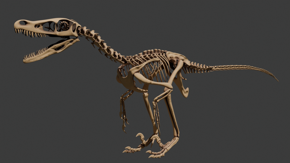 Gefiederte Jäger: Die Rekonstruktion eines Velociraptors