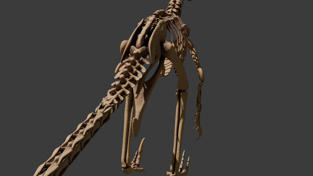 Gefiederte Jäger: Die Rekonstruktion eines Velociraptors