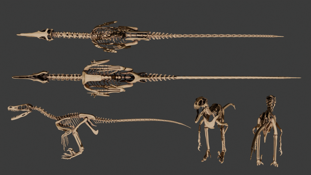 Gefiederte Jäger: Die Rekonstruktion eines Velociraptors
