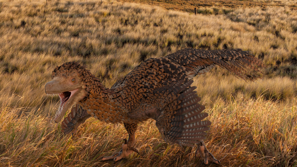 Gefiederte Jäger: Die Rekonstruktion eines Velociraptors