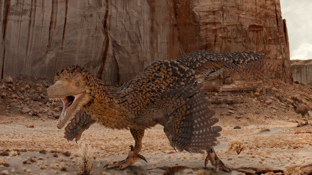 Gefiederte Jäger: Die Rekonstruktion eines Velociraptors