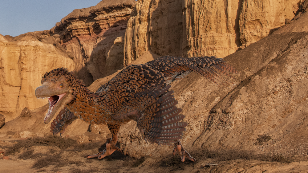 Gefiederte Jäger: Die Rekonstruktion eines Velociraptors
