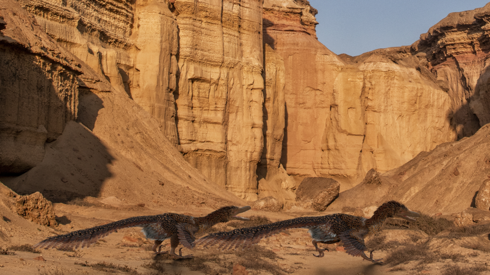 Gefiederte Jäger: Die Rekonstruktion eines Velociraptors