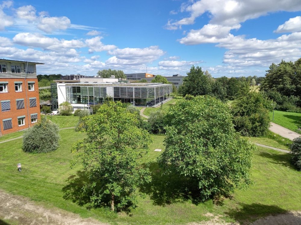 Blick aus Vogelperspektive auf den grünen Flensburger Campus.