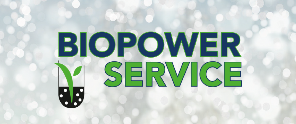 Weihnachtlicher Hintergrund mit Bio Power Service-Firmenlogo drauf.