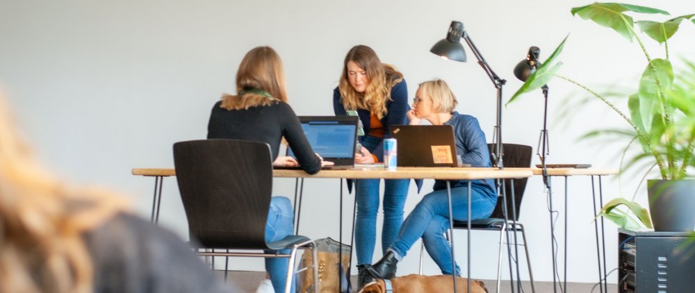 Zwei Frauen sitzen mit Laptops an einem Tisch, eine dritte steht daneben. Sie arbeiten konzentriert gemeinsam. Auf dem Tisch steht eine Dose Energydrink. Im Vordergrund steht eine grüne Topfpflanze.
