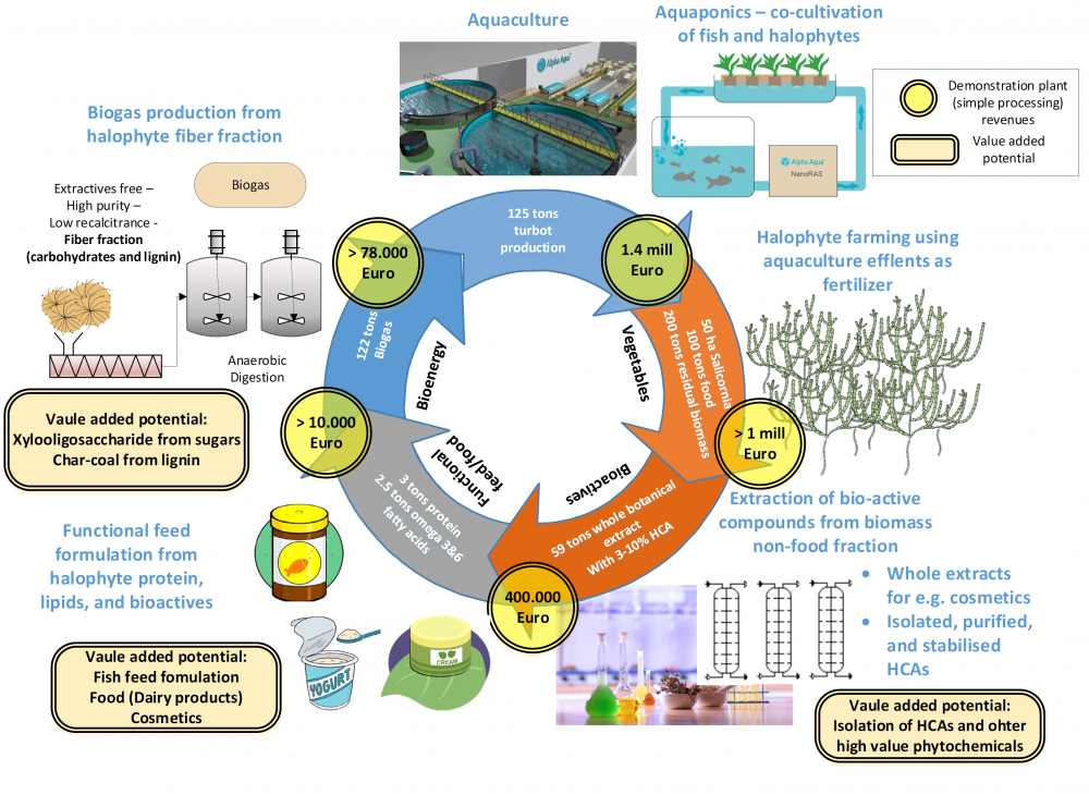 Prozessschema grafische Darstellung