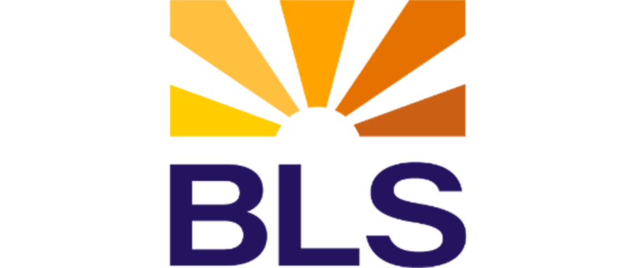 Unternehmenslogo: Stilisierter Sonnenaufgang, darunter die Großbuchstaben BLS.