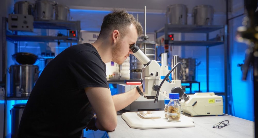 Green Engineering-Studium mit Stipendium: Ein junger Mann sitzt im Labor und arbeitet am Mikroskop.