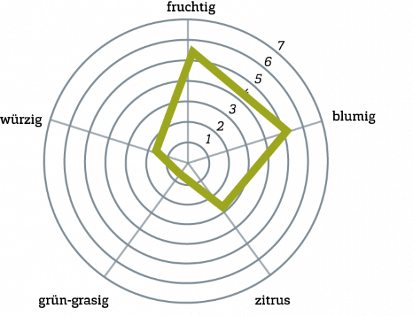 Comet Geschmacksprofil