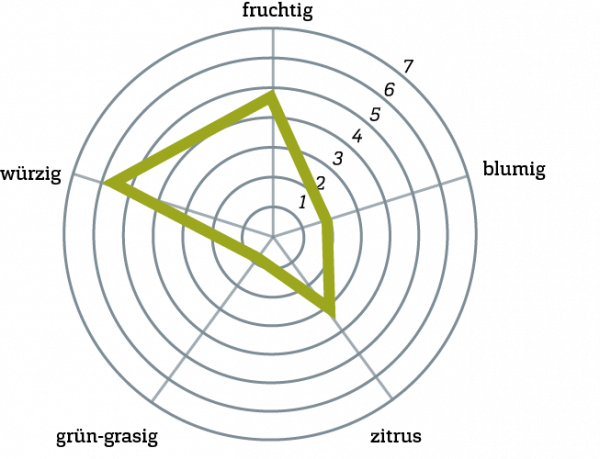 Hallertau Blanc Geschmacksprofil