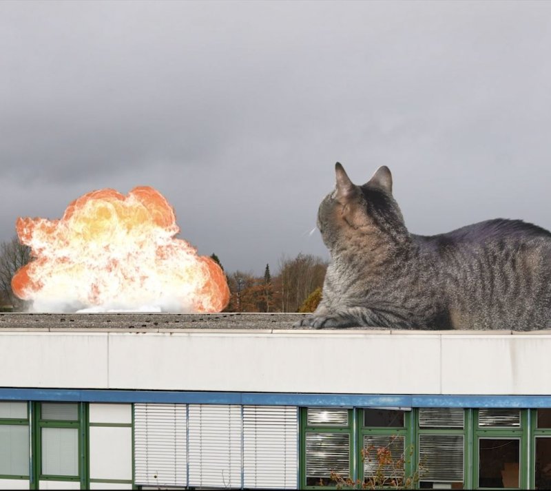 Eine übergroße Katze liegt auf einem Dach und blickt auf einen Feuerball hinter ihr.