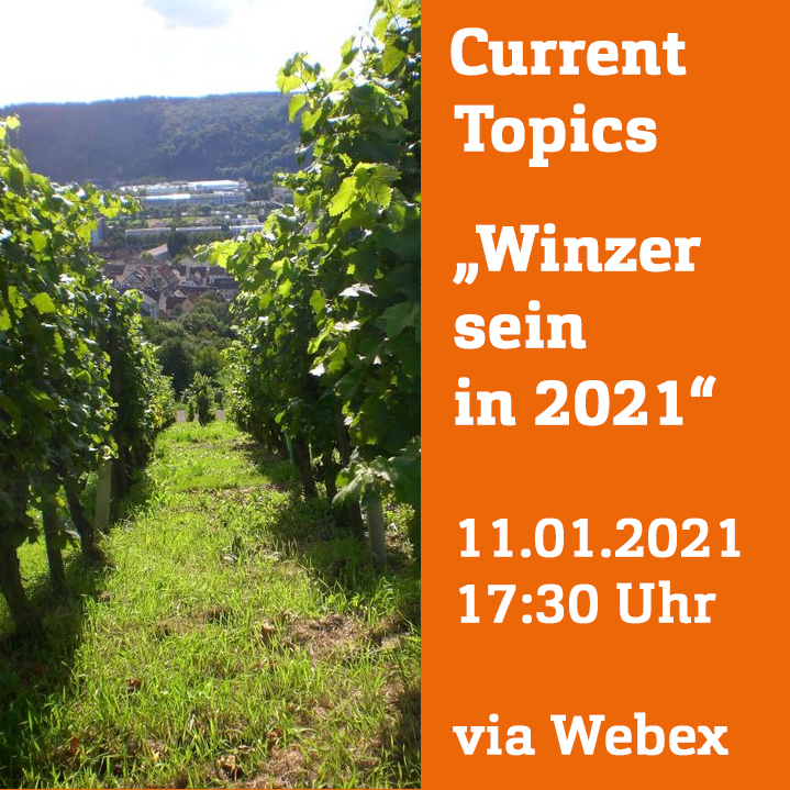 Grafik: Links ein sonniger Weinberg, rechts ein orange-farbenes Rechteck mit weißer Schrift (Titel und Datum des Vortrags).