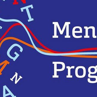 Grafik: Duinkelblaurer Grund, rechts fabige Buchstaben und krumme Linien, die werden nach links hin geordnet, darüber weiße Buchstaben (abgeschnitten: Mentoringprogramm).