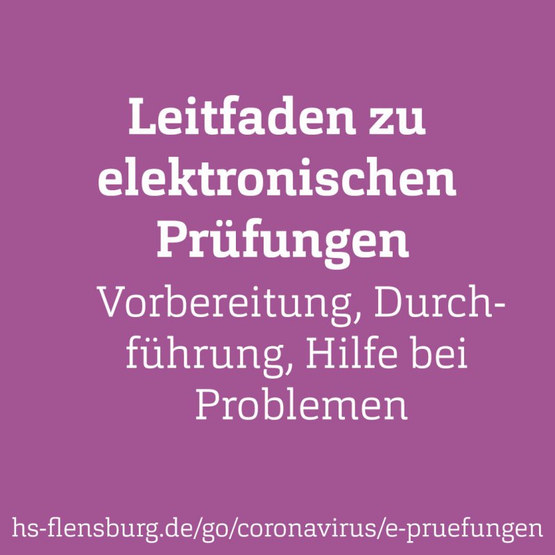 Hell-lila Quadrat. Darin in weißer Schrift: Leitfaden zu elektronischen Prüfungen, Vorbereitung, Durchführung, Hilfe bei technischen Problemen. Darunter eine URL.