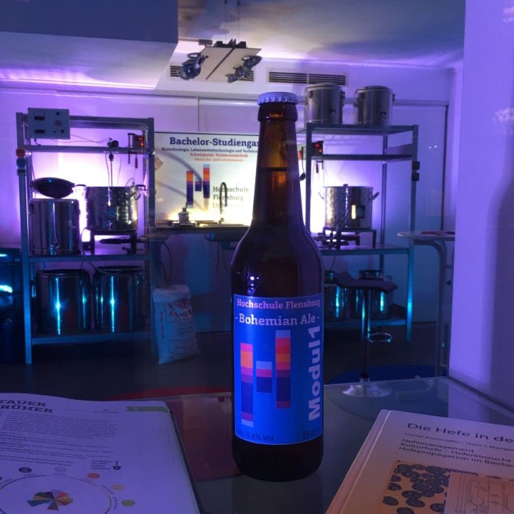 Bierflasche mit Modul1-Etikett.