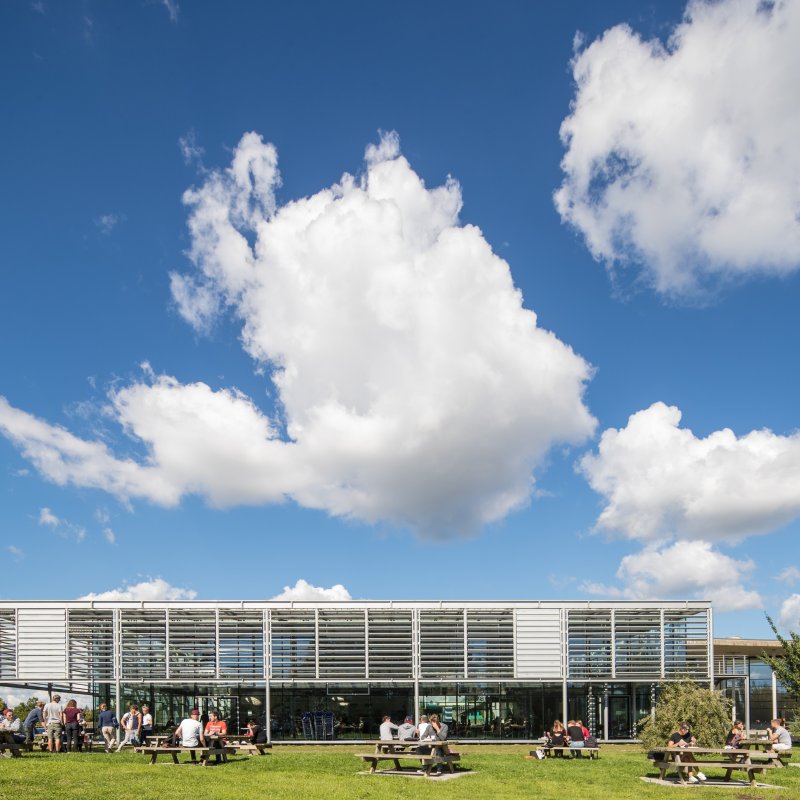 Hochschulgebäude, davor grüne Wiese mit vielen Menschen darauf. Den Großteil des Bildes nimmt blauer Himmel mit ein paar Wolken ein.