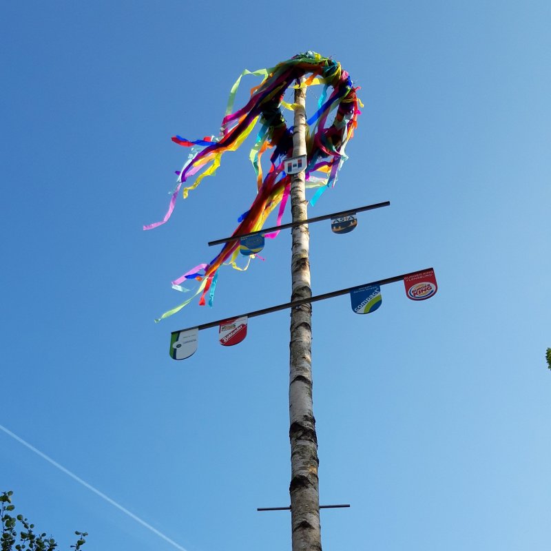 Maibaum vor blauem Himmel.